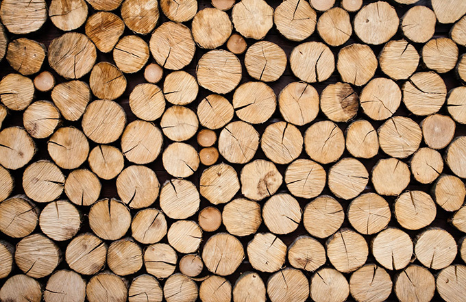 木材进口需要哪些报关流程