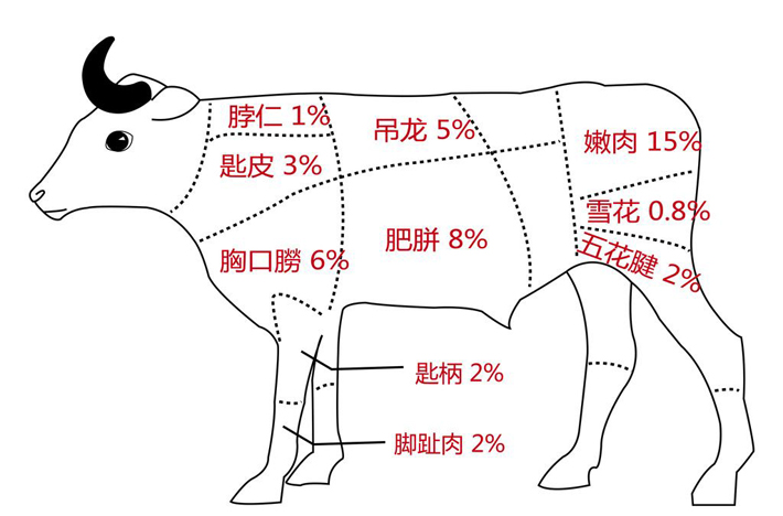 牛肉进口