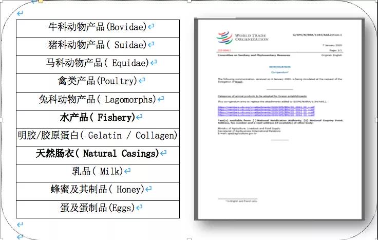 进口外贸代理