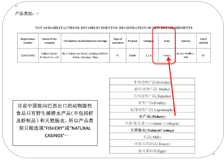 进口外贸代理