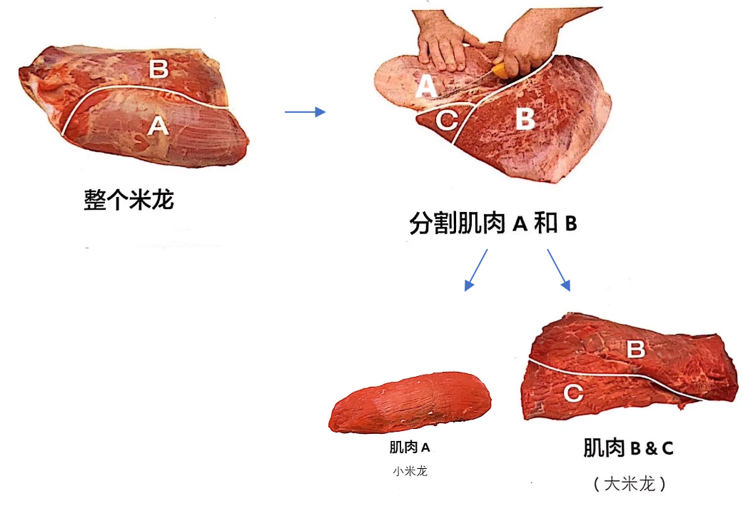 进口外贸代理