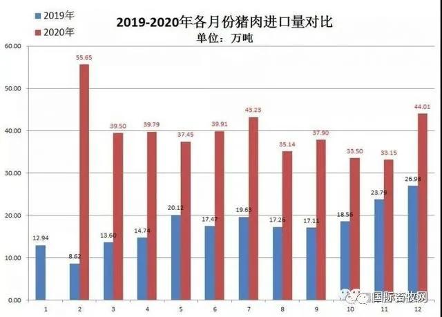 进口外贸代理