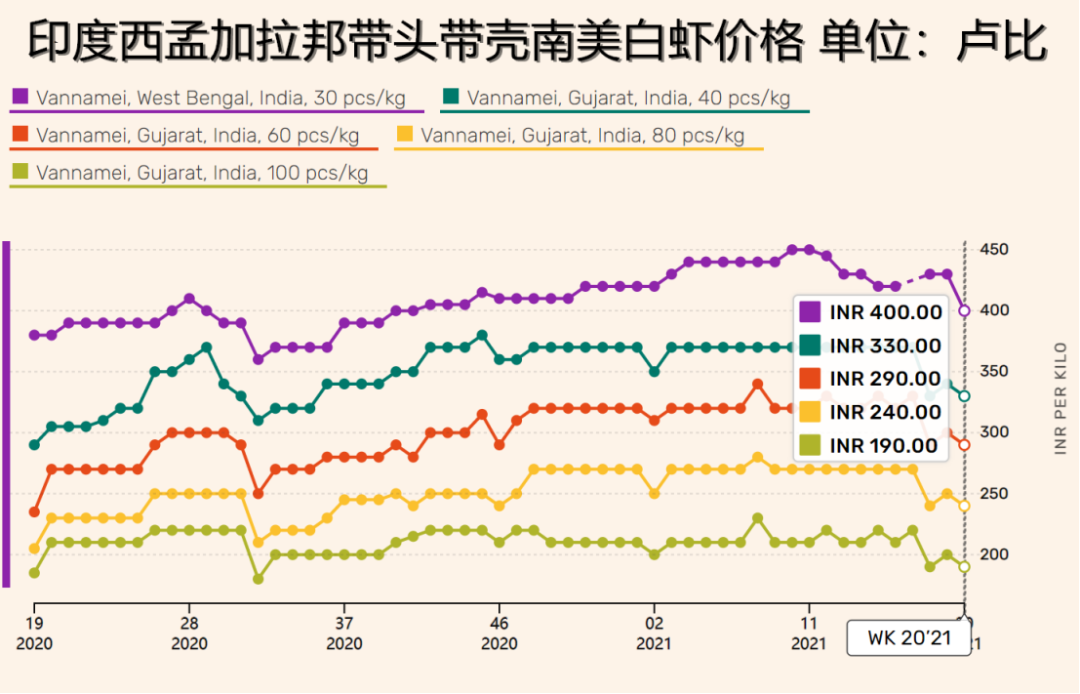 进口外贸代理