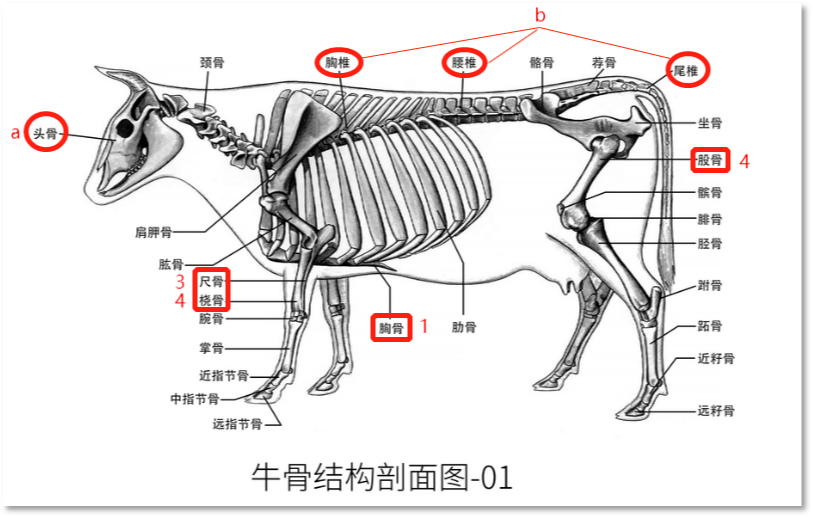 进口外贸代理